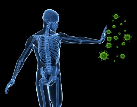 Immune system 